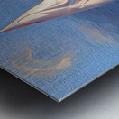 D72C868E F118 43BD B577 7BBCC3F4E434 Metal print