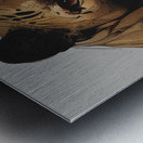 3686E5DF C5D9 466A A323 7E4C990EF927 Metal print