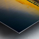 A9E95F5E 339A 4825 AC2C B3E281C715DC Metal print