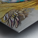 F1F5900C D34B 40A6 8D66 9137C9782841 Metal print