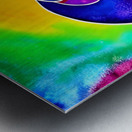 6785A609 90AD 474F 93C6 45CC03E90716 Metal print