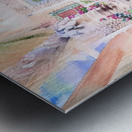 2023 06 29 11 03 12 Metal print