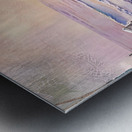 IMG 0078 Metal print