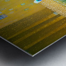 IMG 0480 Metal print