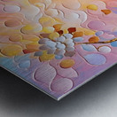 Love Dove Metal print