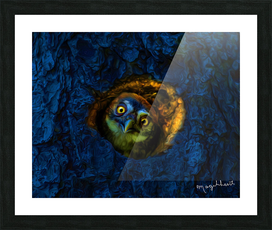 1AFD92C9 F65D 48EF 9B4C 4F900C869EE0 Picture Frame print