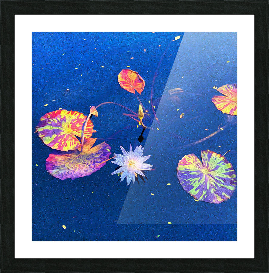 680FC93B 4524 4AC4 96BF AC244AE56A11 Picture Frame print