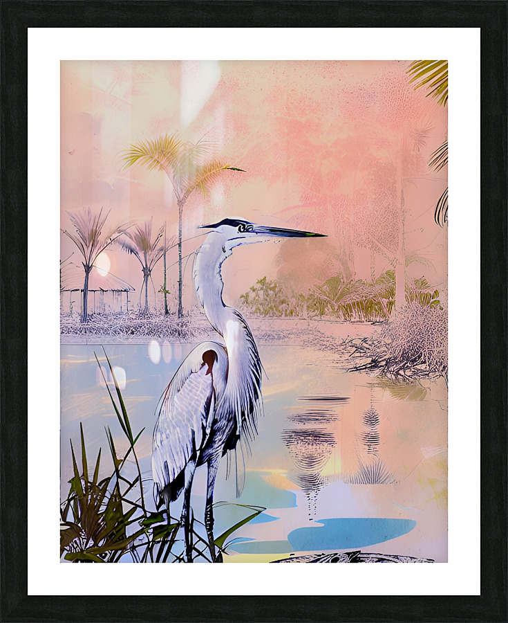 Florida Heron Picture Frame print
