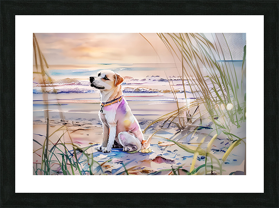 IMG 0075 Picture Frame print