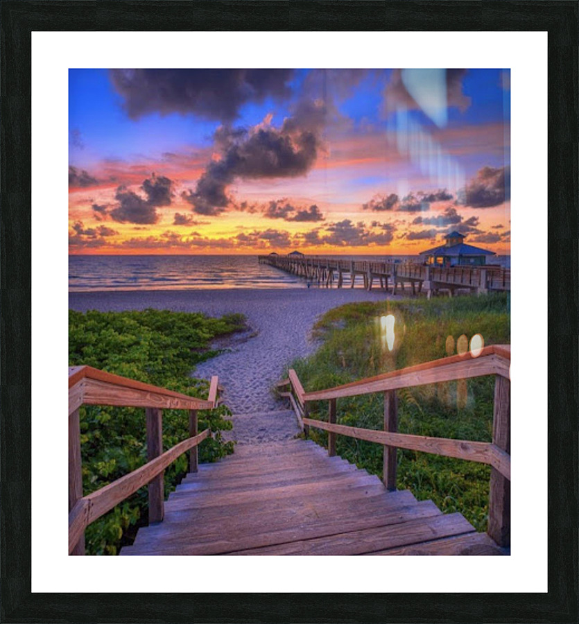 IMG 1847 Picture Frame print