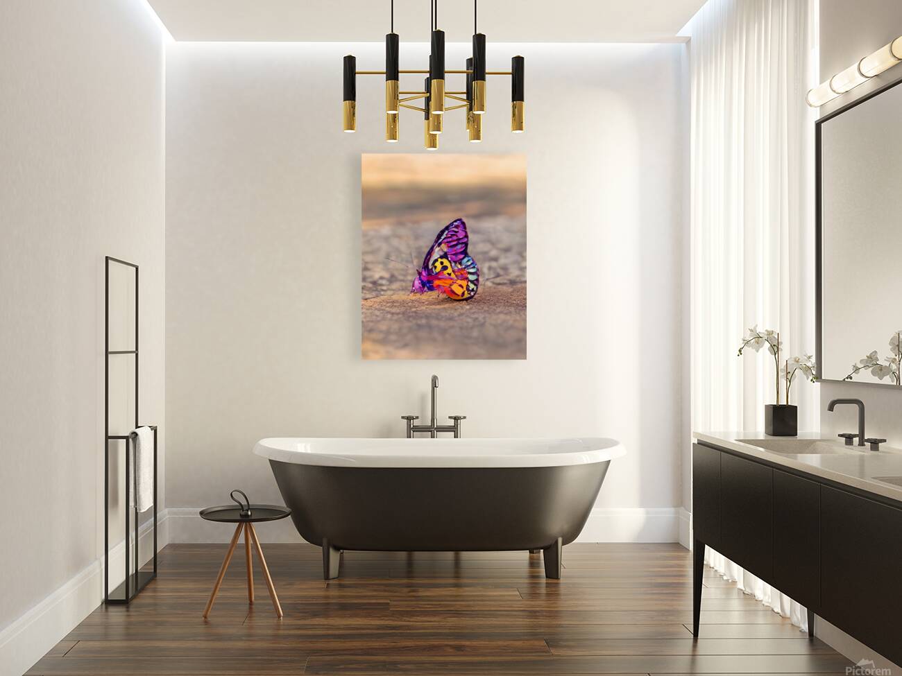 Butterfly On Beach Reproduction