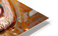 Abstract Pelican HD Metal print