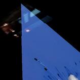 Ladybug Flower HD Metal print