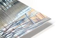 IMG 0177 HD Metal print