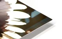 IMG 5038 HD Metal print