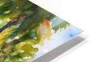 IMG 5498 HD Metal print