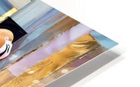 IMG 7252 HD Metal print