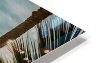IMG 8496 HD Metal print