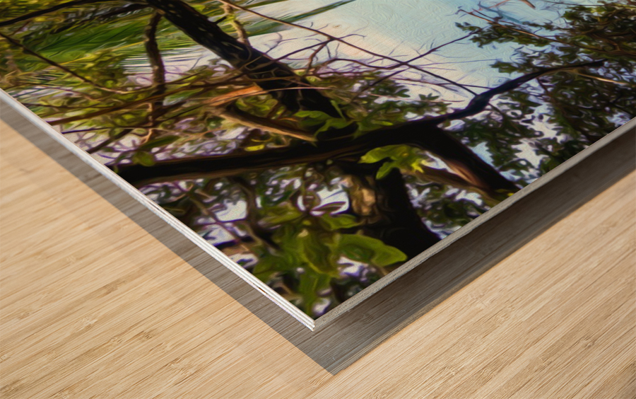 1DE2778D 672E 4C39 B1B3 DCB35613B489 Wood print