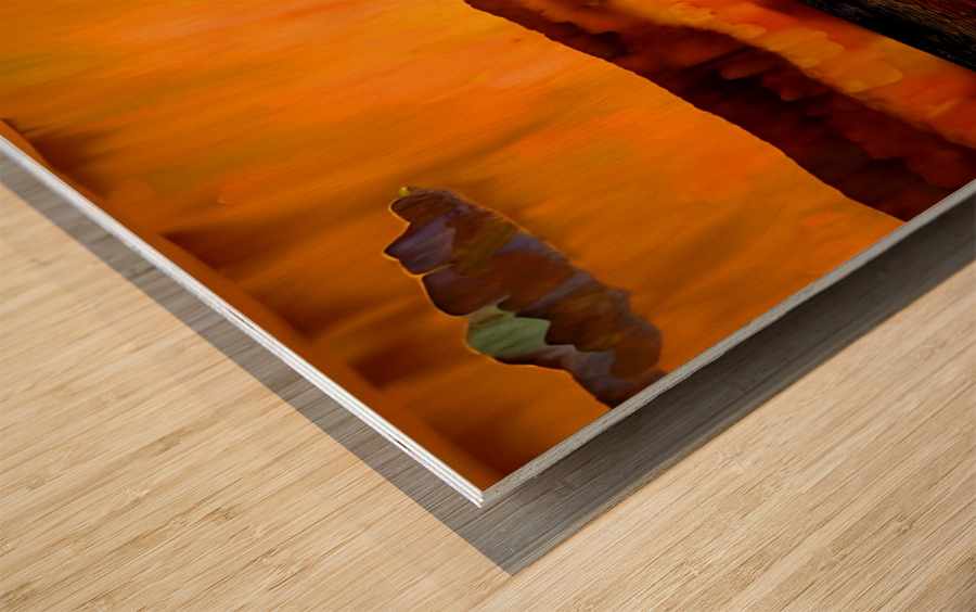 FT. MYERS BEACH SAILBOAT SUNSET Wood print