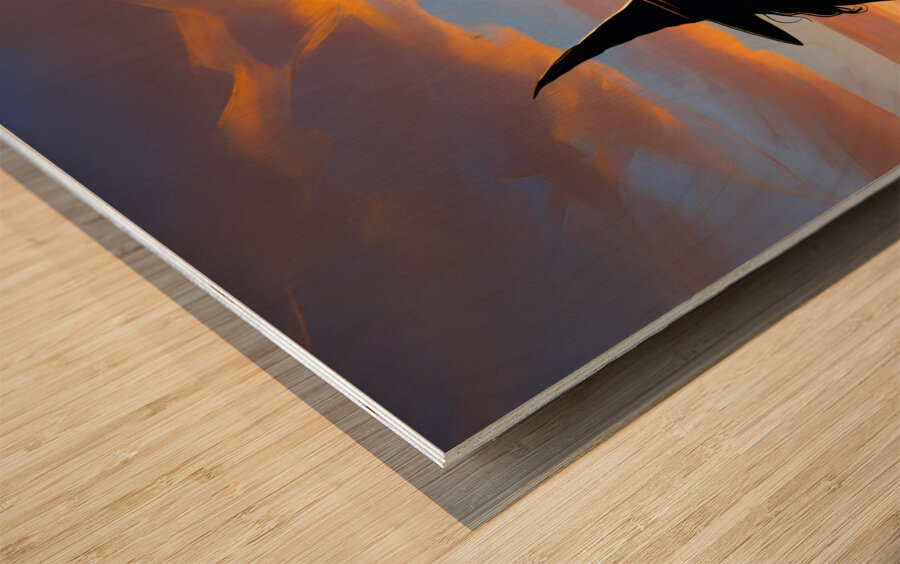 The Wicked Witch Of Naples Beach Wood print