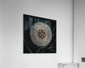 Sparkles and Glow Acrylic Print