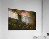 Under the Canopy  Acrylic Print