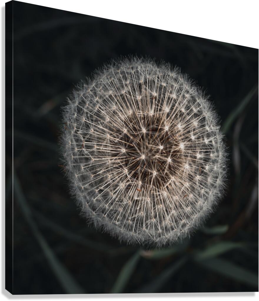 Sparkles and Glow Canvas Print