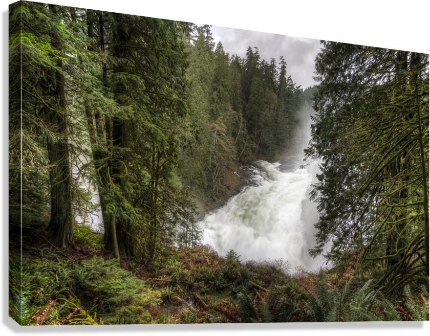 The Roar of Elk Falls  Canvas Print