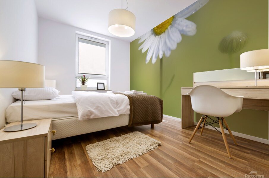 Gentle Awakening Mural print
