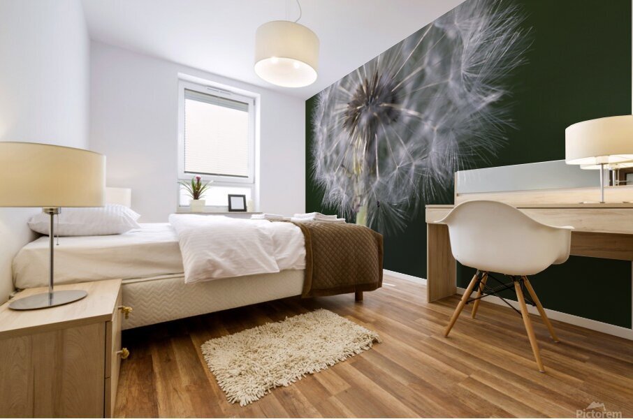 Airborne Wishes: The Enchantment of a Dandelion Mural print