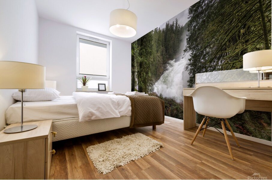 The Roar of Elk Falls  Mural print