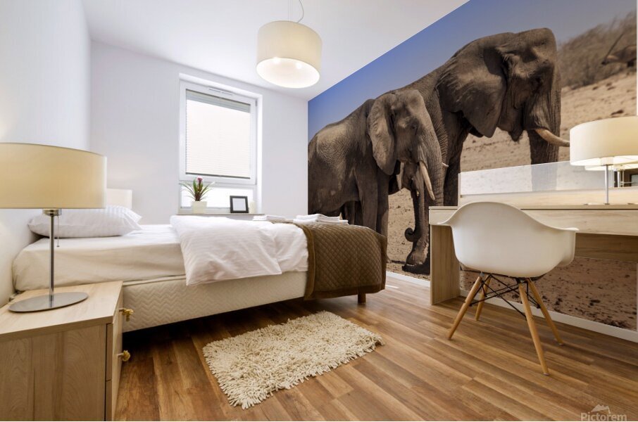 Brothers Roaming Proudly Mural print