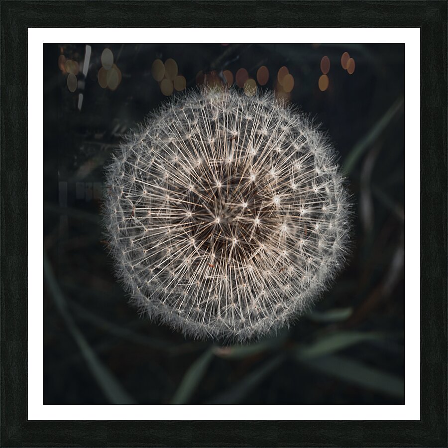 Sparkles and Glow Picture Frame print