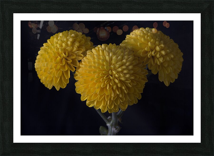 Golden Pompoms Picture Frame print