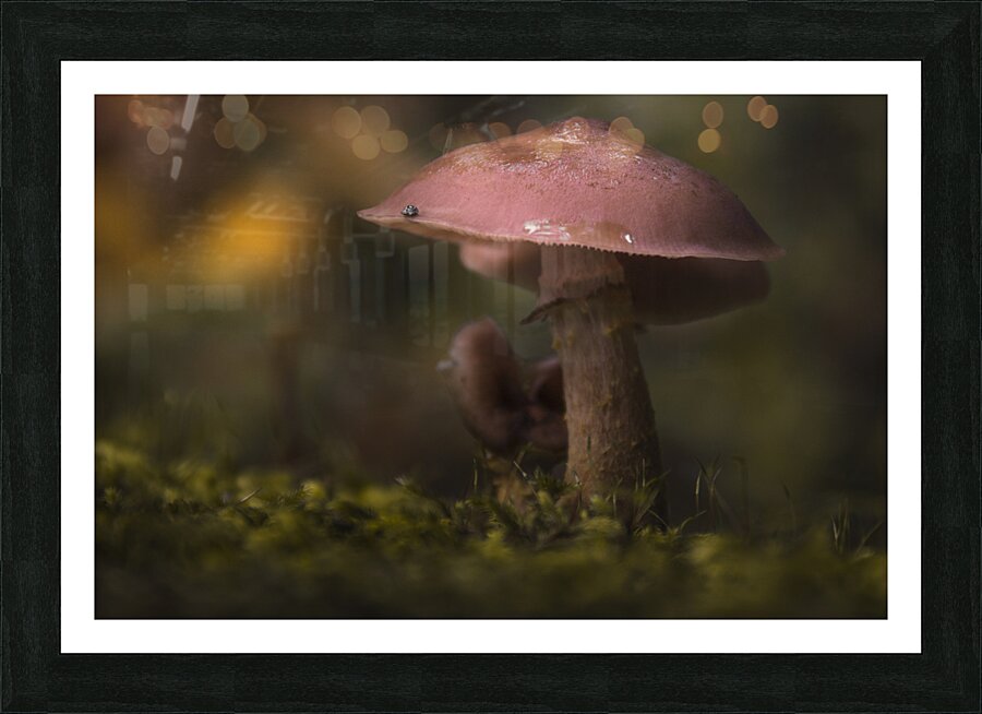Under the Canopy  Picture Frame print