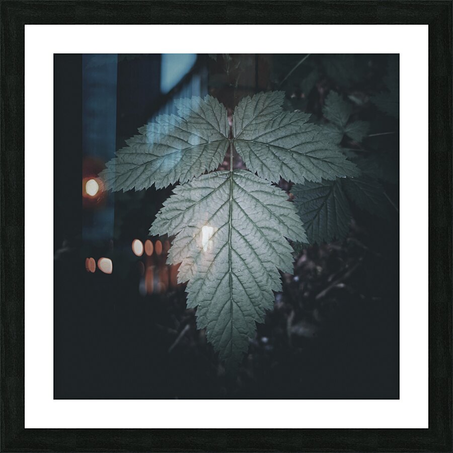 Ethereal Solace Picture Frame print