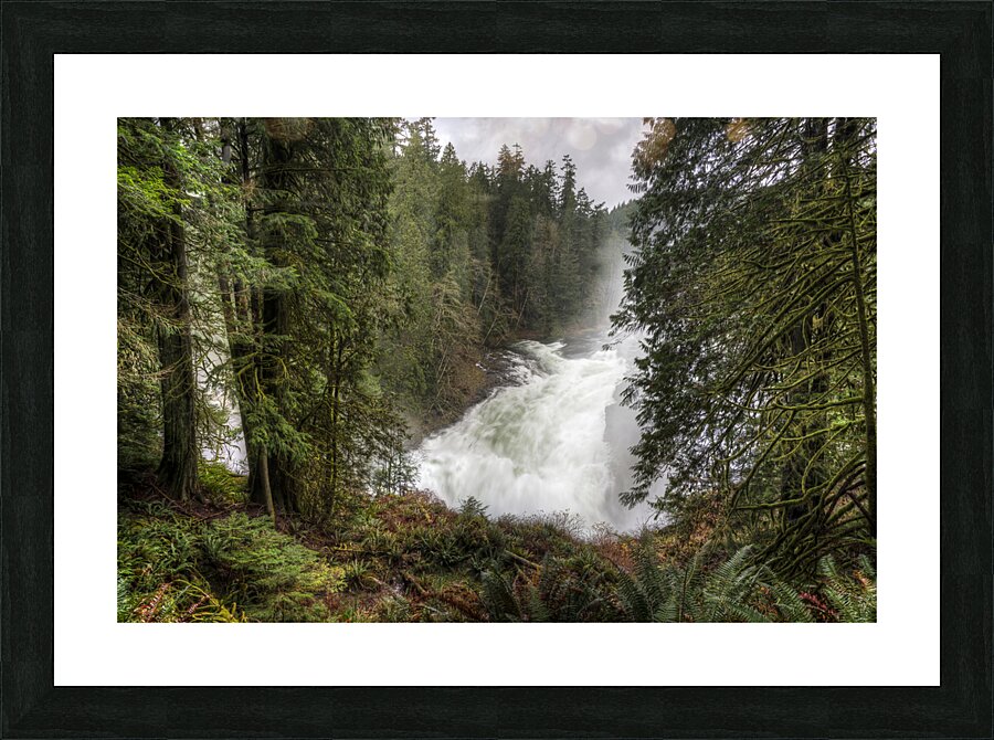 The Roar of Elk Falls  Picture Frame print