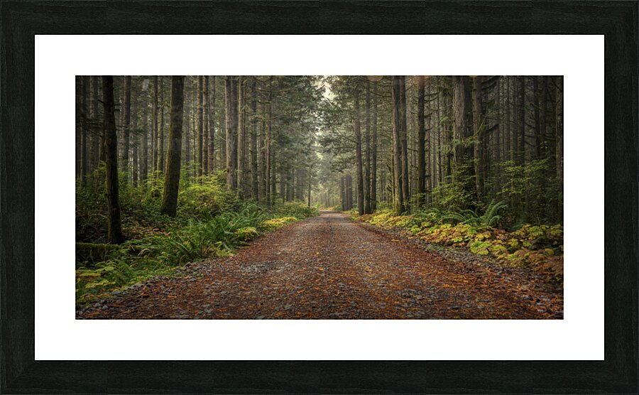 Endless Journey Picture Frame print