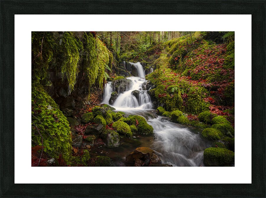 waterfall wonderlust  Picture Frame print
