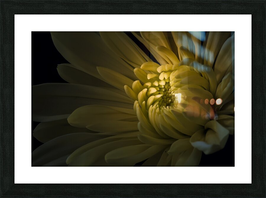 Radiant Sunshine Picture Frame print