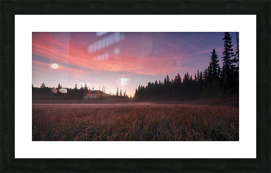 Morning Rays Picture Frame print