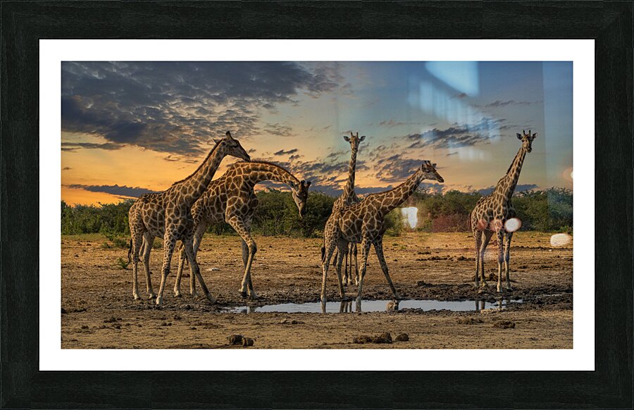 Sunset at Gondwana in Namibia Picture Frame print