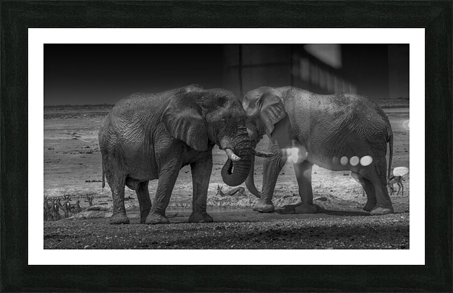 Twin Titans: Majestic Monochrome Picture Frame print