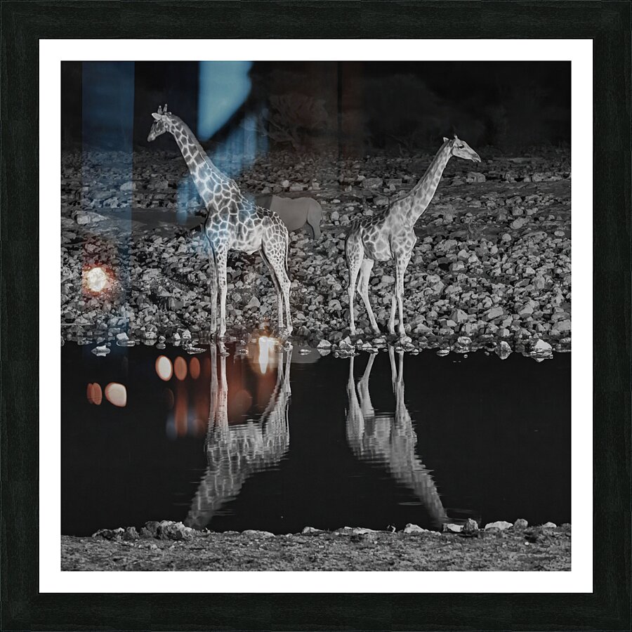 Graceful Giants: Serenity by the Water Picture Frame print