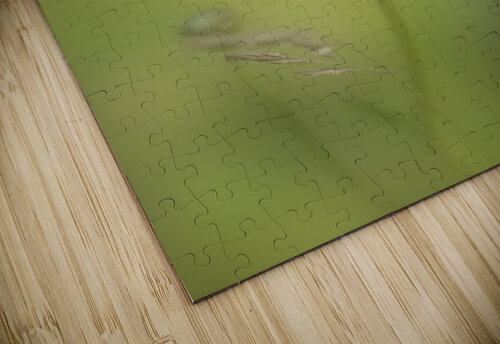 Gentle Awakening Bob Wild   Digital Art puzzle