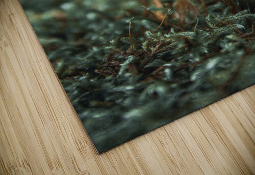 Natures Umbrella  Bob Wild   Digital Art puzzle