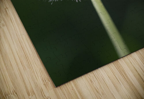Airborne Wishes: The Enchantment of a Dandelion Bob Wild   Digital Art puzzle