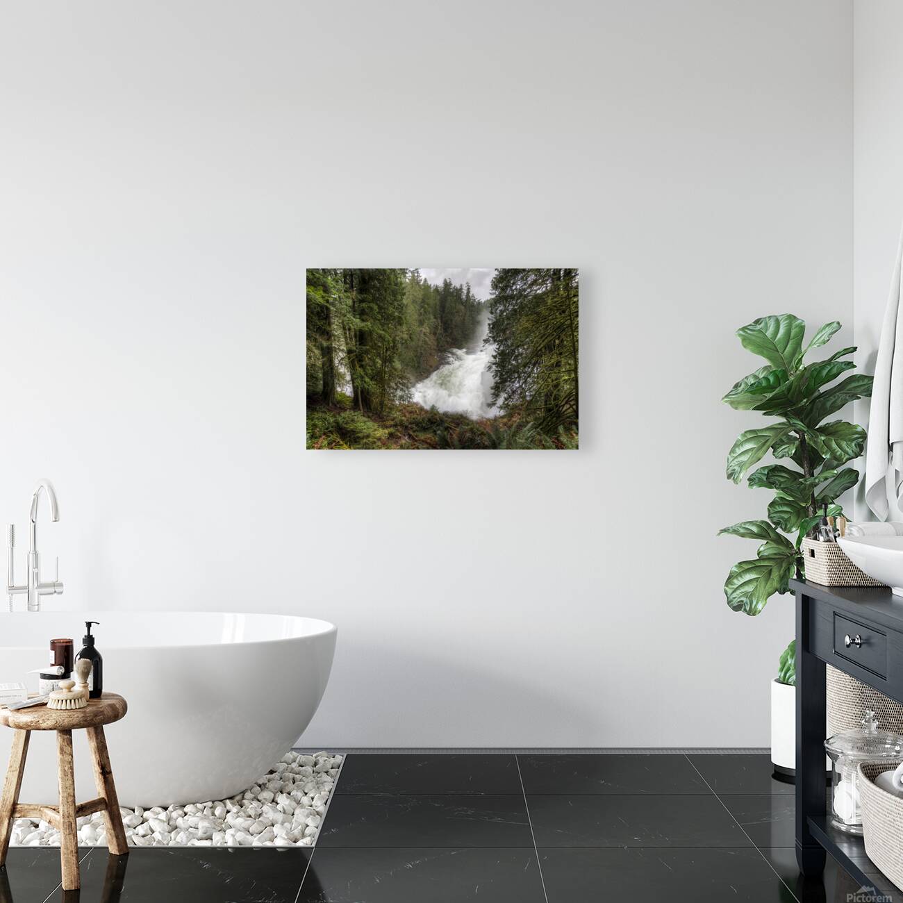 The Roar of Elk Falls  Reproduction