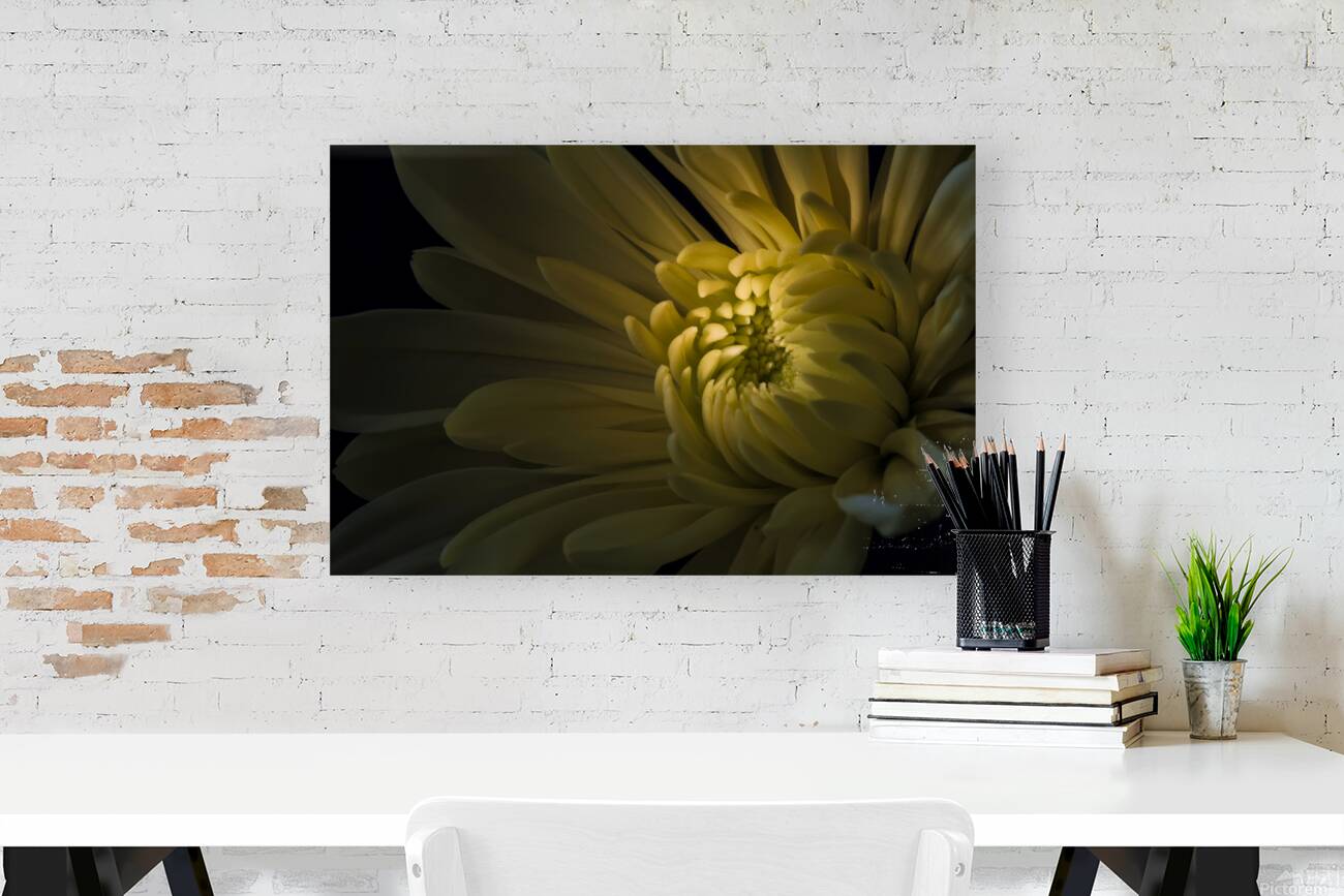 Radiant Sunshine Reproduction